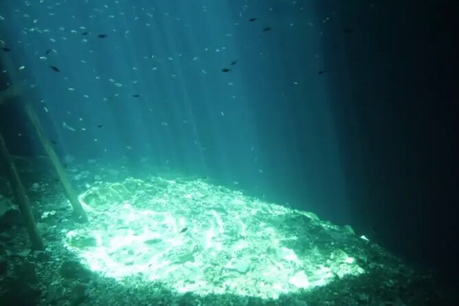 Private Tour to Chichen Itza and Cenote Tsukan with Meal Included - Authentic Yucatecan Cuisine at Tsukan