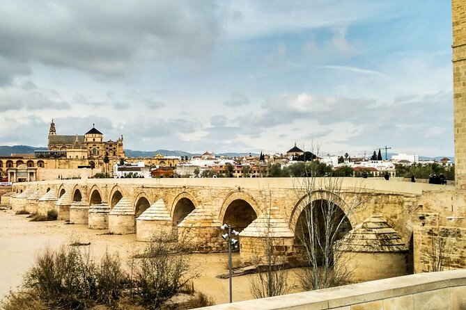 Private tour to Córdoba from Seville (several options) - Key Points