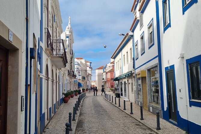 Private Tour to Discover Rural Lisbon: Queluz, Mafra and Ericeira - Convenient Logistics with Private Transportation