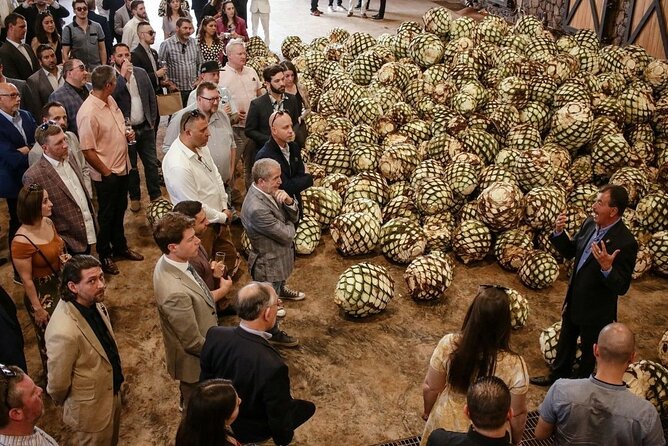 Private Tour to Distillery Tequila Ocho and Arandas - Key Points