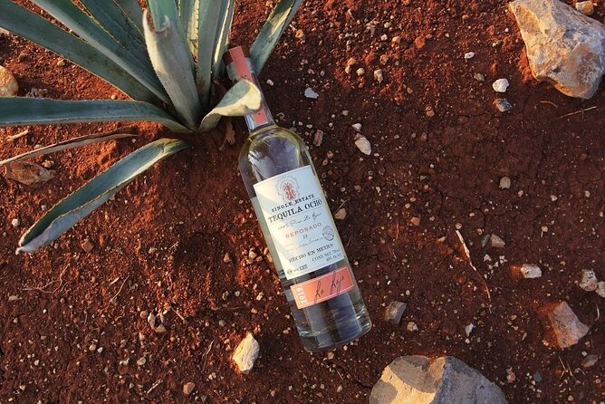 Private Tour to Distillery Tequila Ocho and Arandas - How This Tour Compares to Other Tequila Experiences