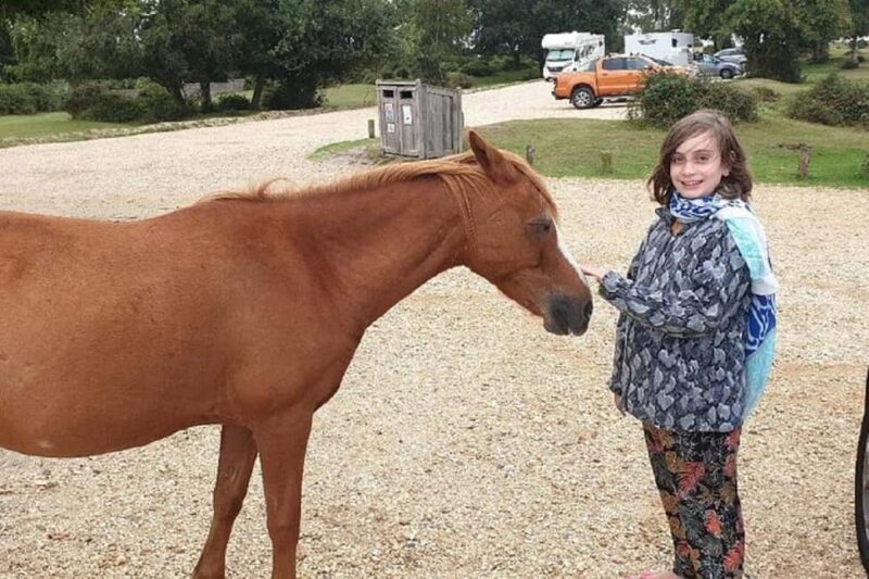 Private tour to Durdle Door, Corfe Castle, New Forest - Exploring the Enchantments of New Forest National Park