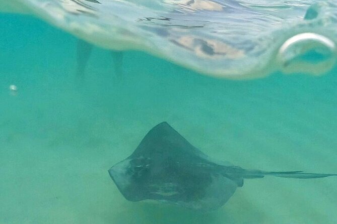 Private Tour to El Cielo and El Cielito and Palancar Cozumel - The Itinerary: Three Distinct Marine Stops