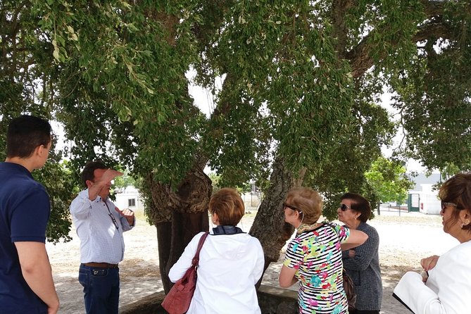 Private Tour to Evora and Cork Experience from Lisbon - Cork Heritage at Corticarte