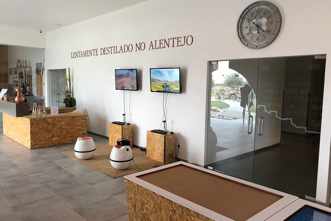 Private tour to Evora with optional wine tasting in the cartucha - Strolling Through Praça do Giraldo and Évora’s Charming Streets