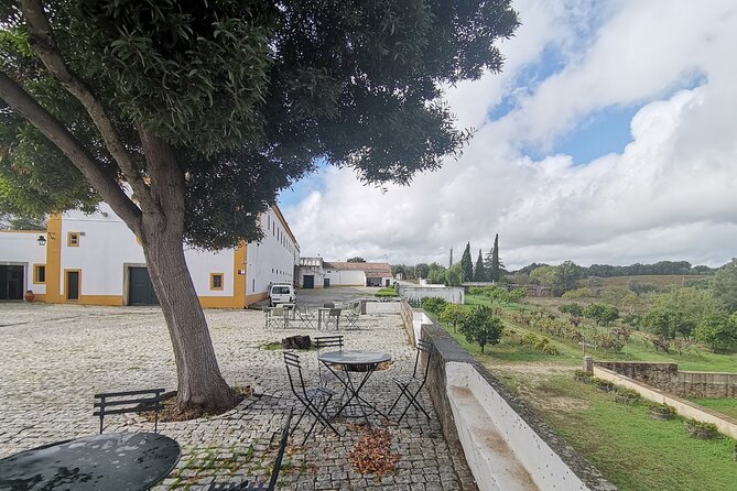 Private Tour to Evora with wine tasting at the Cartuxa Winery - Direct Transportation from Lisbon to Évora in Comfort