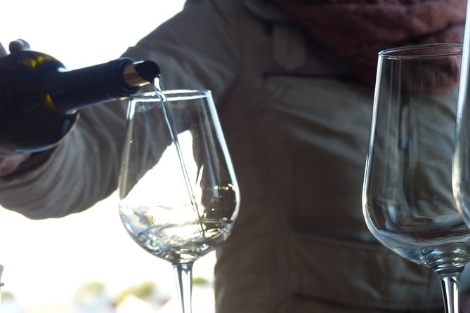 Private Tour to Evora with wine tasting at the Cartuxa Winery - Walking Through Évora’s Historic Streets and Landmarks