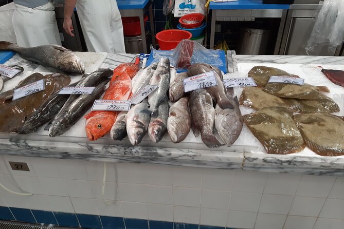 PRIVATE Tour to Factory of Tiles, Setúbal and Évora from Lisboa - Transportation and Comfort During the Tour