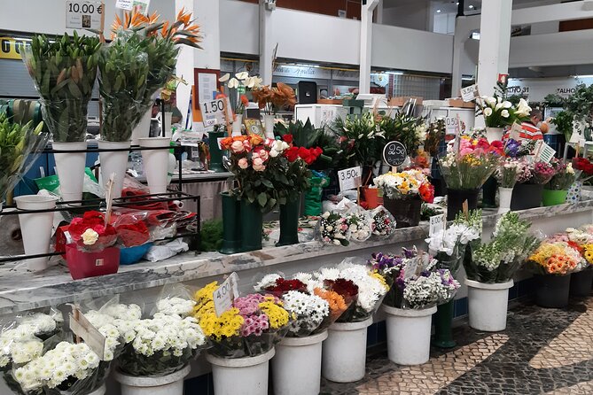 PRIVATE Tour to Factory of Tiles, Setúbal and Évora from Lisboa - Customization and Flexibility of the Tour