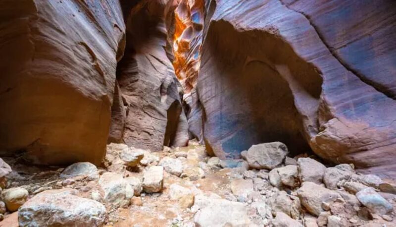 Private Tour to Fátima, Batalha, Nazaré, and Óbidos (10 hours) - Logistics and Practical Tips for the Day Trip