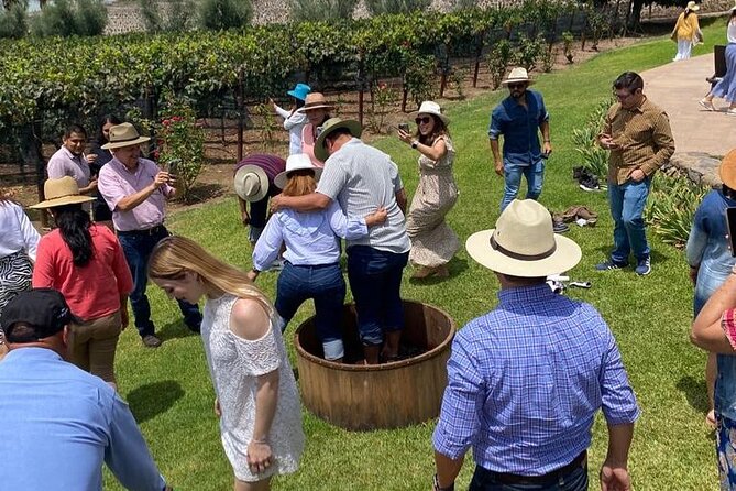 Private Tour to Finca Estramancia Vineyard and the Chapala Riviera - Key Points