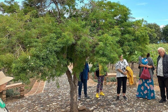 Private Tour to Finca Estramancia Vineyard and the Chapala Riviera - The Private Experience with Koyote Tours