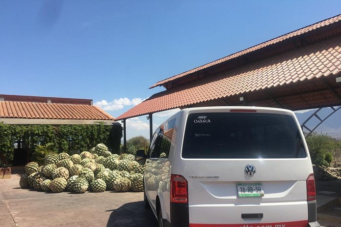 Private Tour to Hierve el Agua, Mezcal Tasting, and Textiles - Flexibility and Pacing of the Tour