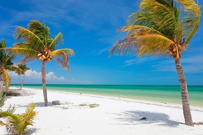 Private Tour To Holbox From Cancun - Visiting the Secluded Pasion and Bird Islands