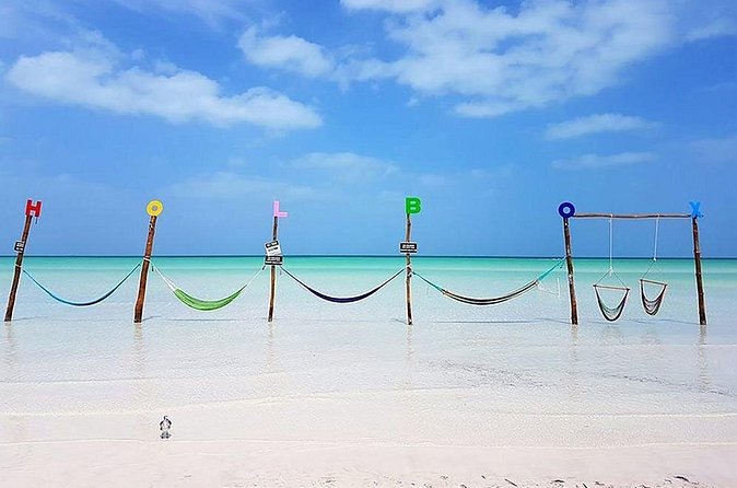 Private Tour To Holbox From Cancun - Wildlife and Mangrove Forests Along the Route