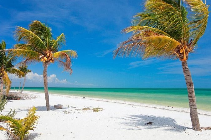 Private Tour To Holbox From Cancun - Practical Details: Logistics, Duration, and Physical Requirements
