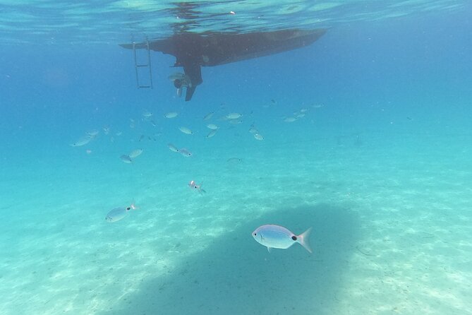 Private tour to Islands Ugljan, Oljak and Preko from Zadar - Preko Village on Ugljan Island