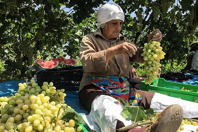Private tour to Khor Virap, Ararat view - Practicalities: Booking, Cost, and What’s Included