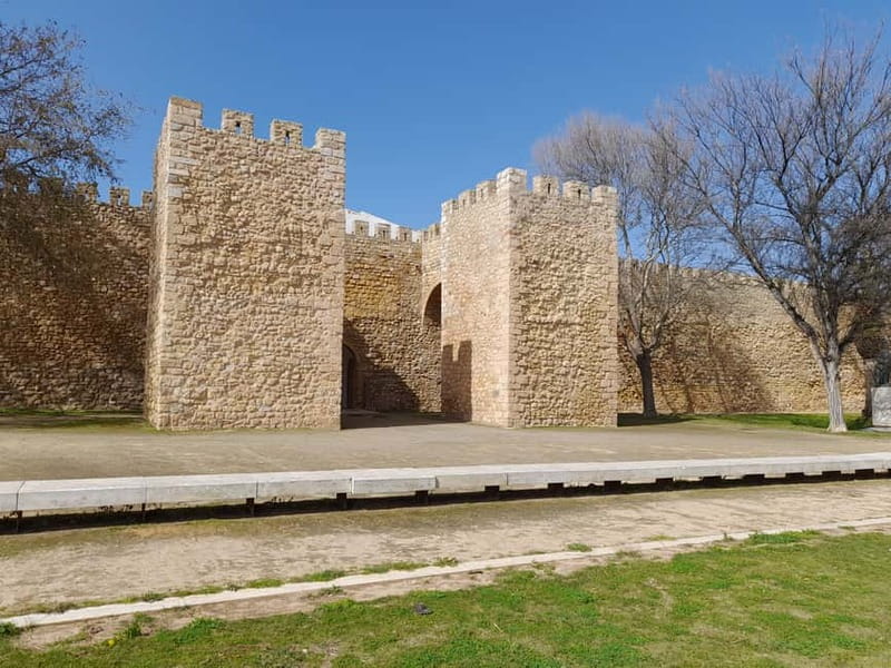 Private Tour to Lagos, Ponta da Piedade and Portimao - Considerations and Tips for Tour Participants