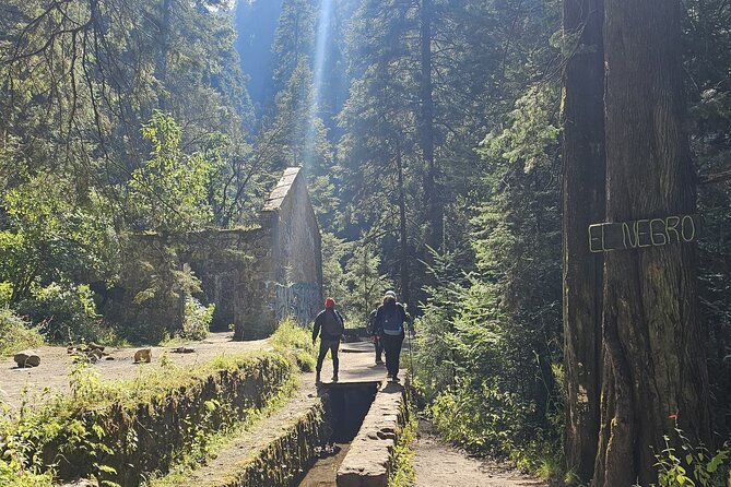 Private Tour to Los Diamantes Waterfall from CDMX - Starting Your Day with Comfortable Private Transport from CDMX