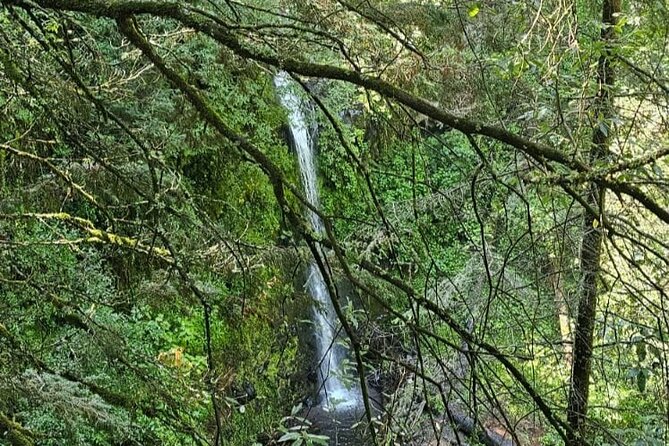 Private Tour to Los Diamantes Waterfall from CDMX - Weather Considerations and Flexibility