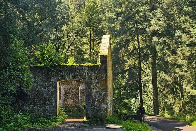 Private Tour to Los Diamantes Waterfall from CDMX - Comparing Value and Unique Features