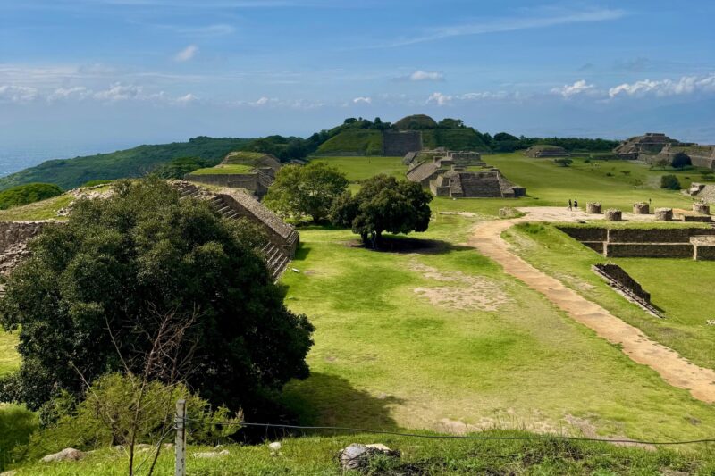 Private Tour to Monte Alban Half Day - Highly Praised Guide and Seamless Experience