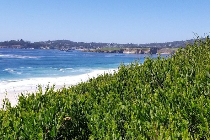 Private Tour to Monterey, Carmel, 17-Mile Drive, Pebble Beach - Who Will Appreciate This Tour Most?