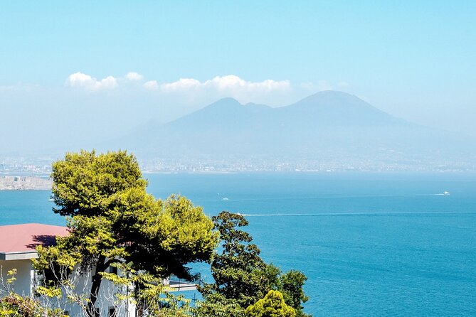 Private Tour to Naples from Sorrento with Pick Up and Drop Off - The Gothic Beauty of Duomo di Napoli