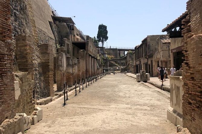 Private Tour to Pompei and Herculaneum: Skip-the-line Tickets - Who Will Appreciate This Tour Most?