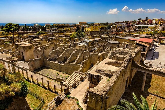 Private tour to Pompeii Herculaneum and Vesuvius - Climbing Vesuvius: Panoramic Views and Volcanic History