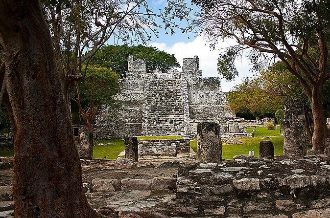 Private Tour to Pyramid El Meco & Mayan Museum in Cancún - Logistics and Transportation Arrangements