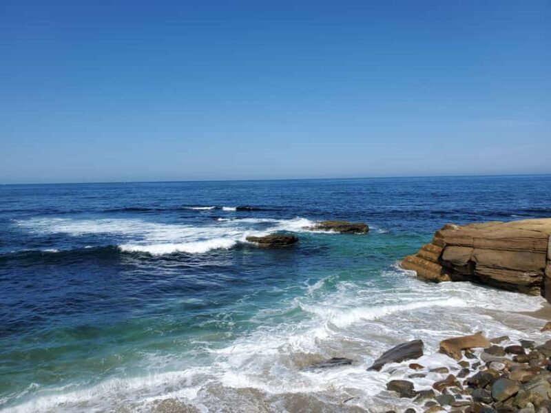 Private tour to San Diego from Los Angeles - The Guide’s Approach and Languages Spoken