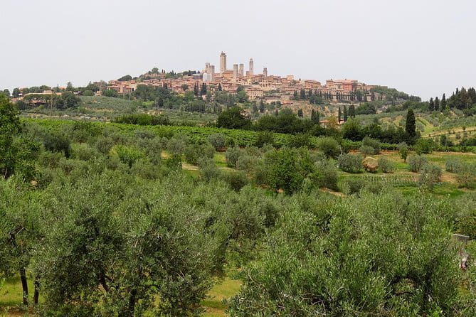 Private Tour to Siena and San Gimignano with Wine Tasting & Lunch - Key Points