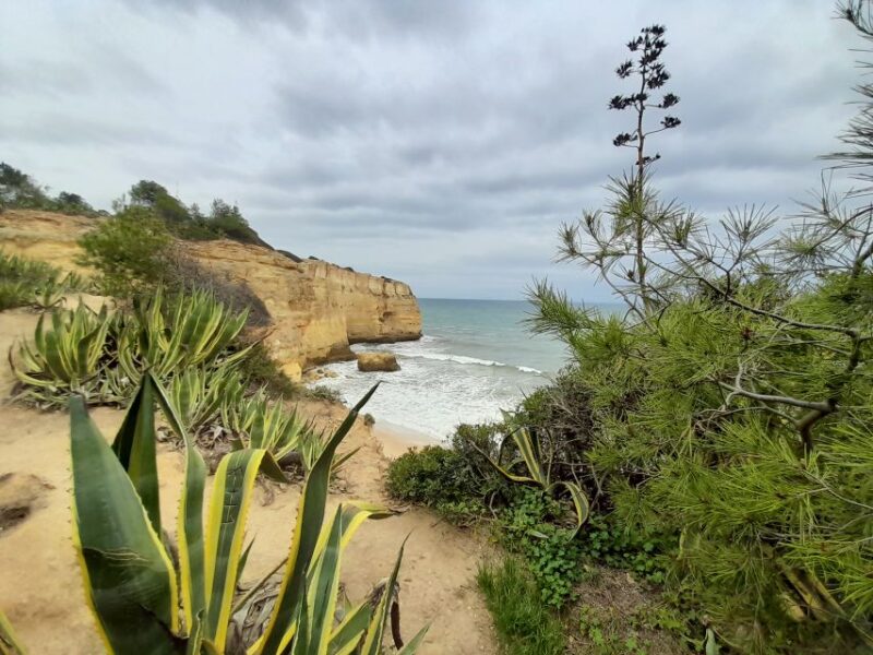 Private Tour to Silves Castle, Marinha Beach, Carvoeiro - Private Tour to Silves Castle, Marinha Beach, Carvoeiro