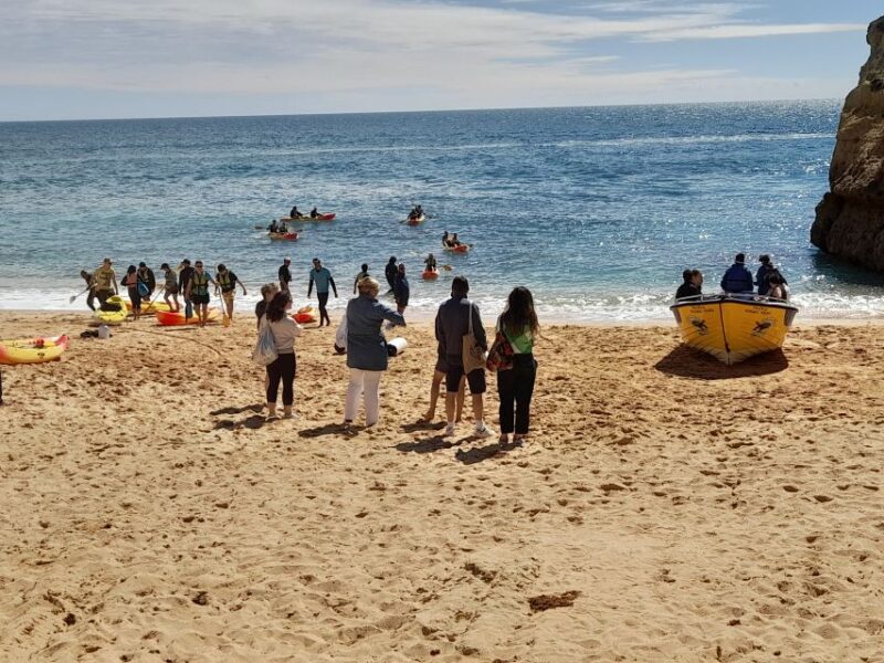 Private Tour to Silves Castle, Marinha Beach, Carvoeiro - Suitability and Ideal Travelers