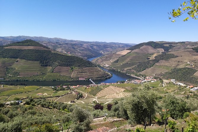 Private Tour to stunning Douro Valley and most renowned wineries - Key Points
