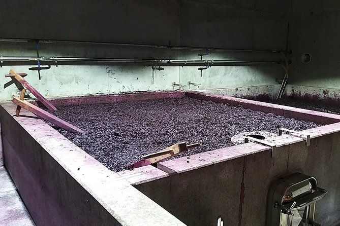 Private Tour to stunning Douro Valley and most renowned wineries - Visiting the Historic Metal Bridge