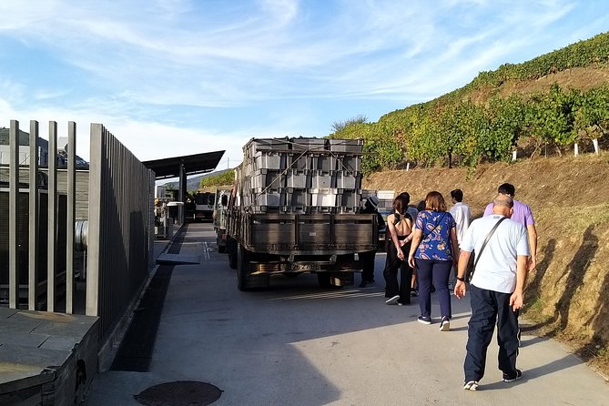 Private Tour to stunning Douro Valley and most renowned wineries - Comfortable and Flexible Private Transportation