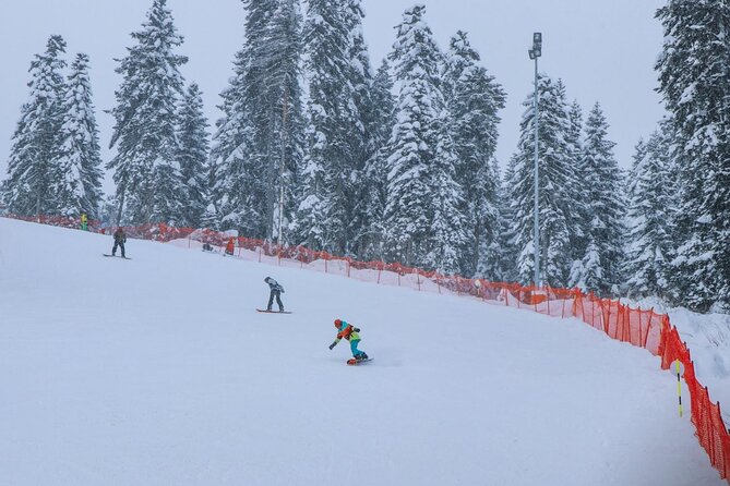Private Tour to Svaneti and Megrelia (Mountains, Canyons, Caves) - Arrival in Svaneti: Mestia and its Cultural Highlights