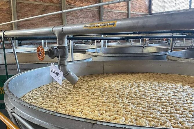 Private Tour to Tequila Distillery and Cantaritos and Celebration - Starting Point at Hard Rock Hotel Guadalajara