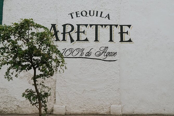 Private Tour to Tequila with Tequila Arette Tasting - Visiting the Tequila Selecto Distillery