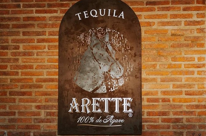 Private Tour to Tequila with Tequila Arette Tasting - Logistics and Comfort