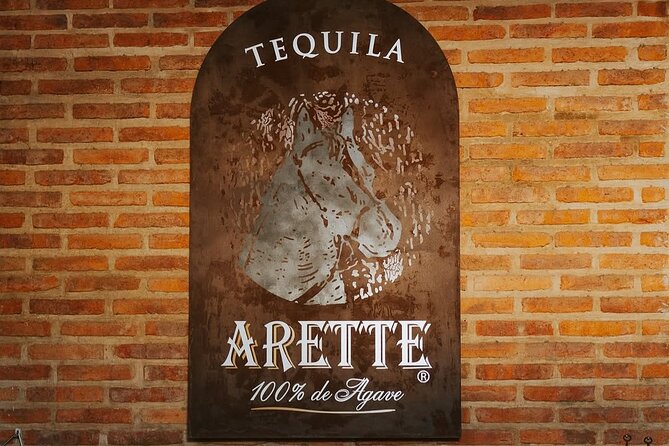 Private Tour to Tequila with Tequila Arette Tasting - The Overall Experience