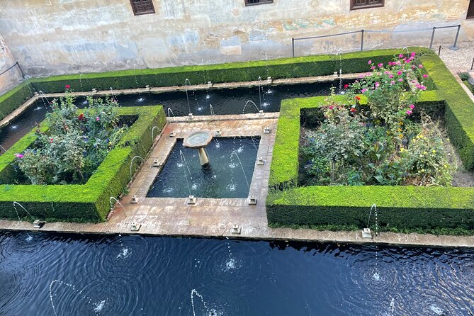 Private Tour to The Alhambra and Generalife from Motril port - The Guide and Tour Experience