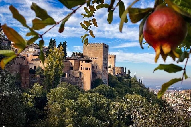Private Tour to The Alhambra and Generalife from Motril port - Physical Requirements and Accessibility