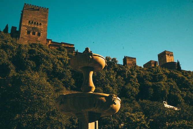 Private Tour to The Alhambra with Nasrid Palaces in Granada - Logistics: Meeting Point, Accessibility, and Group Size