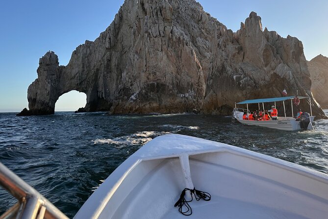 Private Tour to the Arch of Cabo San Lucas by Glass Bottom Boat - Encountering Sea Lions at La Lobera
