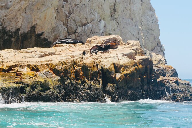 Private Tour to the Arch of Cabo San Lucas by Glass Bottom Boat - Practical Details: Meeting Point, Group Size, and Whats Included