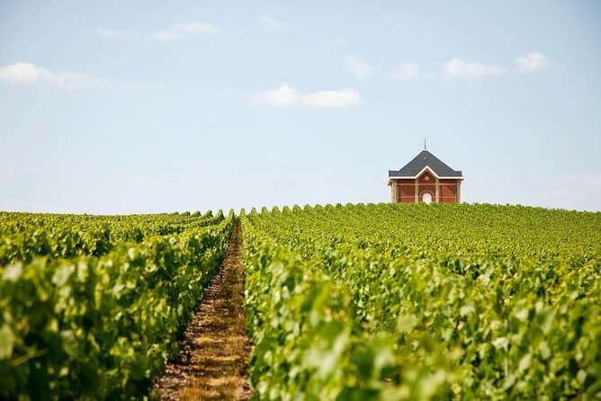 Private Tour to the best Champagne Wineries from Paris - Explore the Finest Champagne Wineries from Paris in a Private Setting